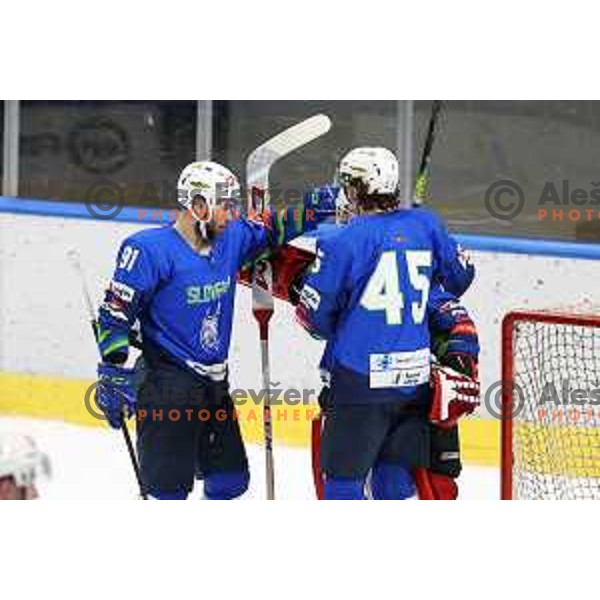 Beat Covid-19 ice-hockey tournament match between Slovenia and Poland in Tivoli Hall, Ljubljana on May 20, 2021