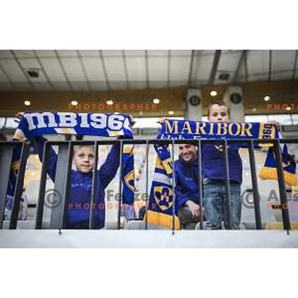 Fans prior to Prva liga Telekom Slovenije football match between Maribor and Mura in Ljudski vrt, Maribor, Slovenia on May 22, 2021