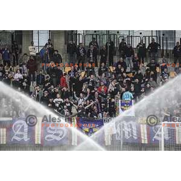 Viole during Prva liga Telekom Slovenije football match between Maribor and Mura in Ljudski vrt, Maribor, Slovenia on May 22, 2021