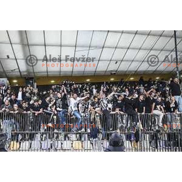 Black Gringos during Prva liga Telekom Slovenije football match between Maribor and Mura in Ljudski vrt, Maribor, Slovenia on May 22, 2021