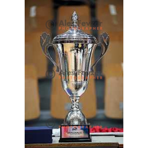 during the Final of Spar Cup between Krka and Sentjur in Kodeljevo Hall, Ljubljana, Slovenia on May 22, 2021