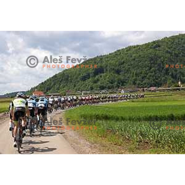 Grand Prix of Gorenjska, UCI Cycling race in Cerklje, Slovenia on May 30, 2021