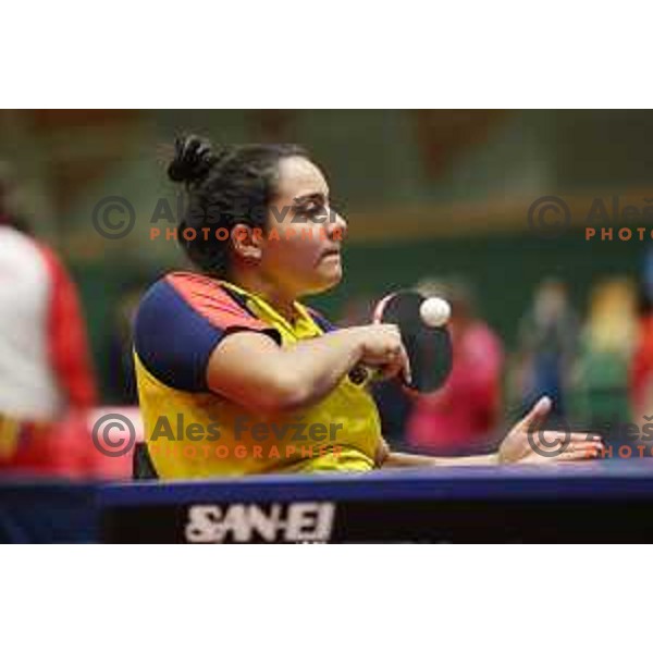 Table tennis Paralympic World Qualification Tournament, Lasko, Slovenia on June 3, 2021