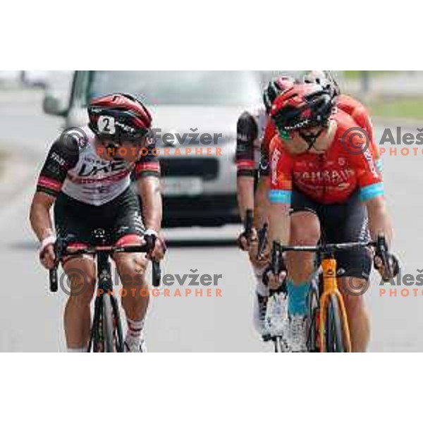 Jan Polanc talks to Jan Tratnik during Men’s Elite category race (174 km) at Slovenian Road Championship in Koper, Slovenia on June 20, 2021