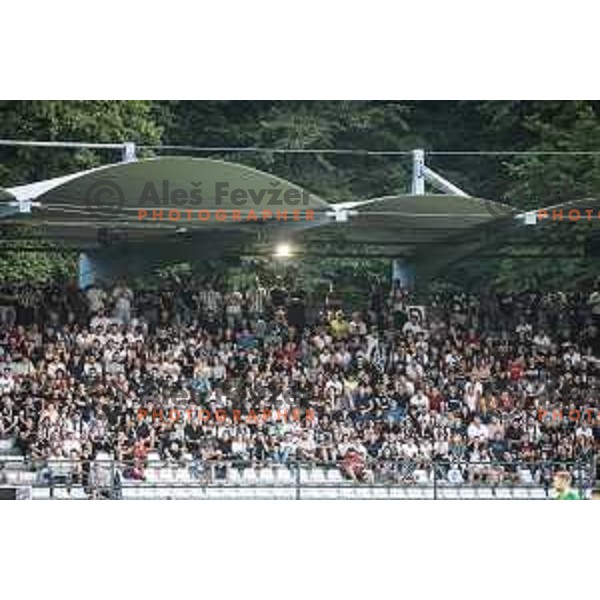Fans of Mura during UEFA Champions League qualifier football match between Mura and Ludogorets in Fazanerija, Murska Sobota, Slovenia on July 21, 2021