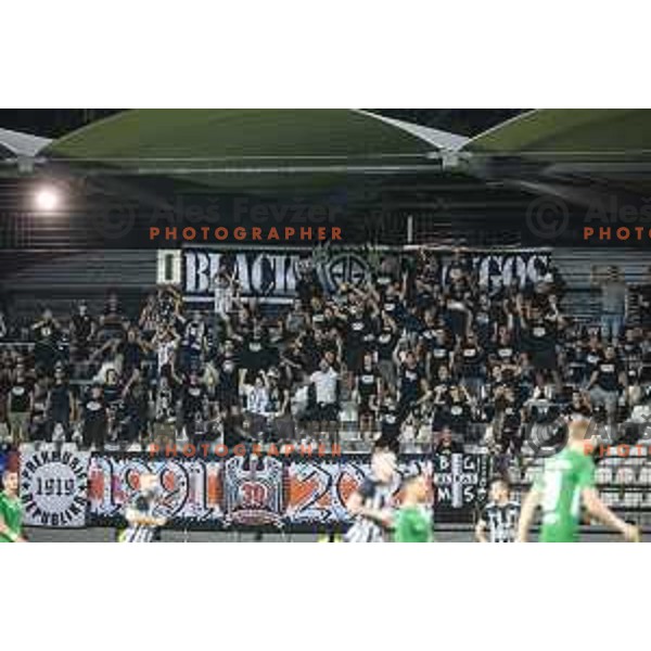 Black Gringos during UEFA Champions League qualifier football match between Mura and Ludogorets in Fazanerija, Murska Sobota, Slovenia on July 21, 2021