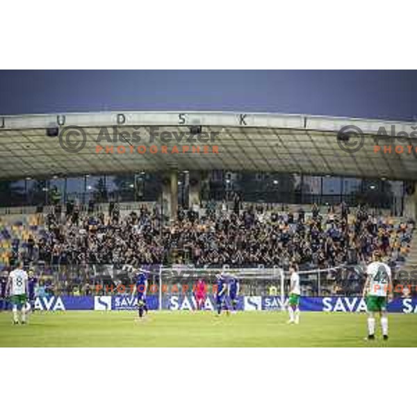 Viole during UEFA Conference League qualifier football match between Maribor and Hammarby in Ljudski vrt, Maribor, Slovenia on July 29, 2021