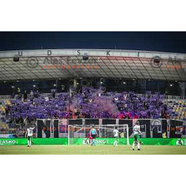 Viole during UEFA Conference League qualifier football match between Maribor and Hammarby in Ljudski vrt, Maribor, Slovenia on July 29, 2021