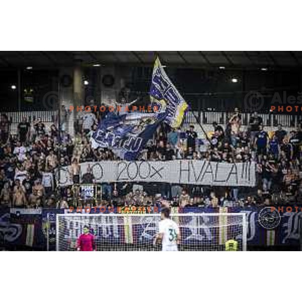 Viole during UEFA Conference League qualifier football match between Maribor and Hammarby in Ljudski vrt, Maribor, Slovenia on July 29, 2021