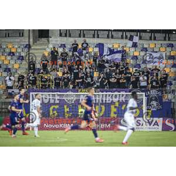 Viole during Prva liga Telemach foorball match between Maribor and Tabor in Ljudski vrt, Maribor, Slovenia on August 14, 2021