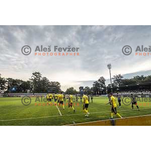 in action during Prva liga Telemach football match between Mura and Radomlje in Fazanerija, Murska Sobota, Slovenia on August 15, 2021