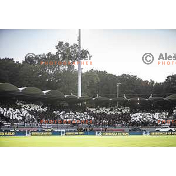 in action during UEFA Europa League play-offs football match between Mura and Sturm Graz in Mestni stadion Fazanerija, Murska Sobota, Slovenia on August 19, 2021