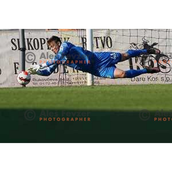 In action during Prva Liga Telemach football match between Domzale and Olimpija in Domzale, Slovenia on August 25, 2021