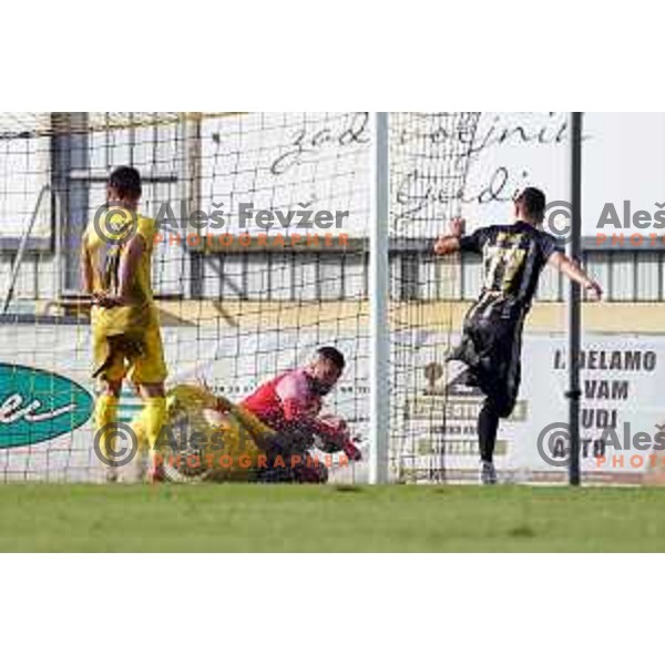 In action during Prva Liga Telemach football match between Domzale and Mura in Domzale, Slovenia on August 29, 2021