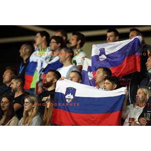 in action during FIFA World Cup 2022 Qualifiers match between Slovenia and Slovakia at Arena Stozice, Ljubljana, Slovenia on September 1, 2021