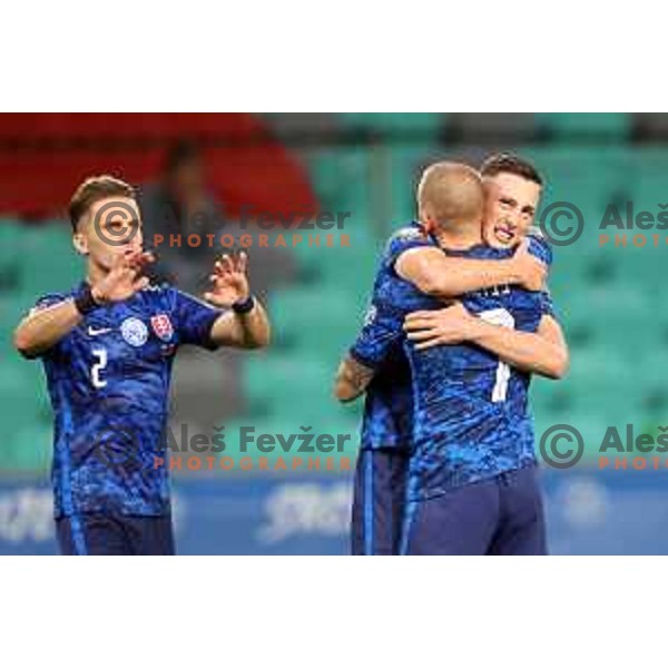 in action during FIFA World Cup 2022 Qualifiers match between Slovenia and Slovakia at Arena Stozice, Ljubljana, Slovenia on September 1, 2021