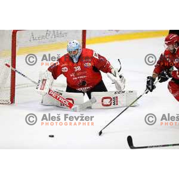 in action at Final of Slovenian Ice-Hockey Cup between SZ Olimpija and SIJ Acroni Jesenice at Bled, Slovenia on September 4, 2021
