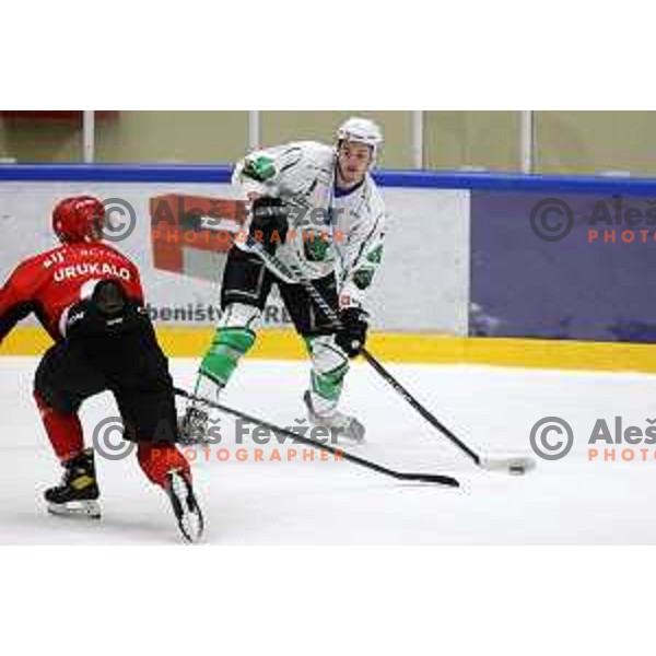 in action at Final of Slovenian Ice-Hockey Cup between SZ Olimpija and SIJ Acroni Jesenice at Bled, Slovenia on September 4, 2021