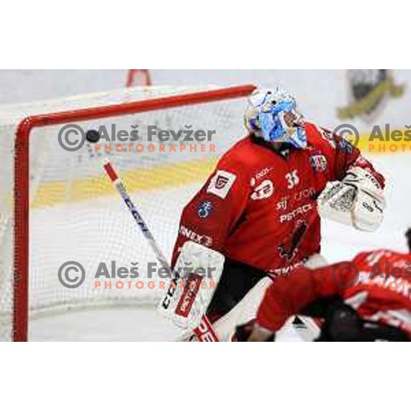 in action at Final of Slovenian Ice-Hockey Cup between SZ Olimpija and SIJ Acroni Jesenice at Bled, Slovenia on September 4, 2021
