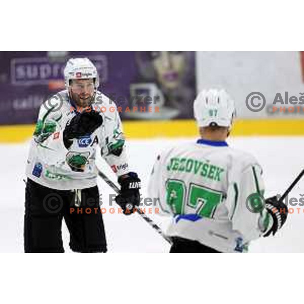 in action at Final of Slovenian Ice-Hockey Cup between SZ Olimpija and SIJ Acroni Jesenice at Bled, Slovenia on September 4, 2021