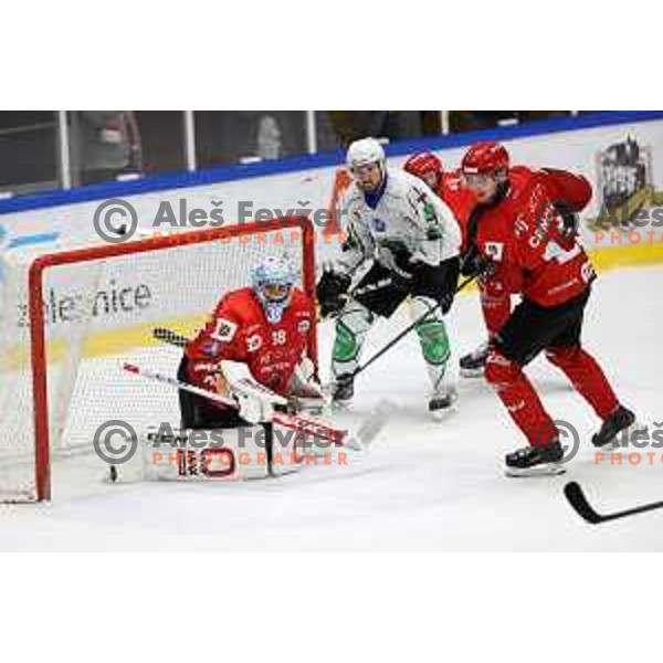 in action at Final of Slovenian Ice-Hockey Cup between SZ Olimpija and SIJ Acroni Jesenice at Bled, Slovenia on September 4, 2021