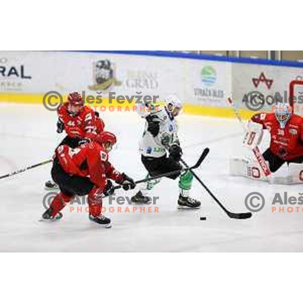 in action at Final of Slovenian Ice-Hockey Cup between SZ Olimpija and SIJ Acroni Jesenice at Bled, Slovenia on September 4, 2021