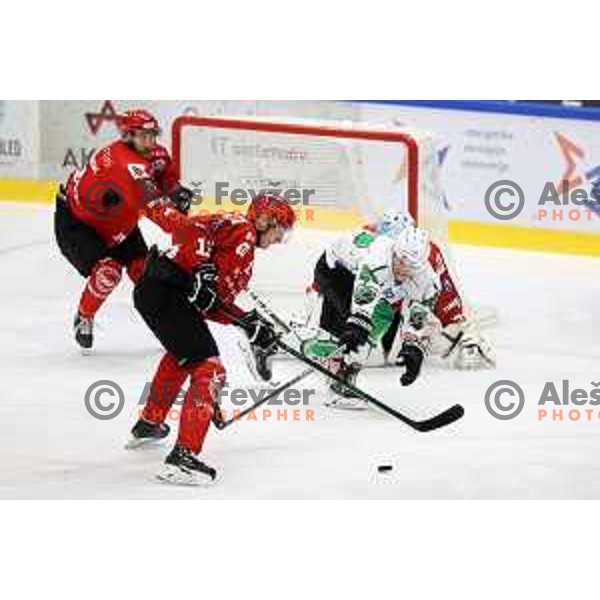 in action at Final of Slovenian Ice-Hockey Cup between SZ Olimpija and SIJ Acroni Jesenice at Bled, Slovenia on September 4, 2021
