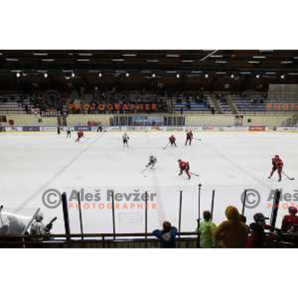 in action at Final of Slovenian Ice-Hockey Cup between SZ Olimpija and SIJ Acroni Jesenice at Bled, Slovenia on September 4, 2021