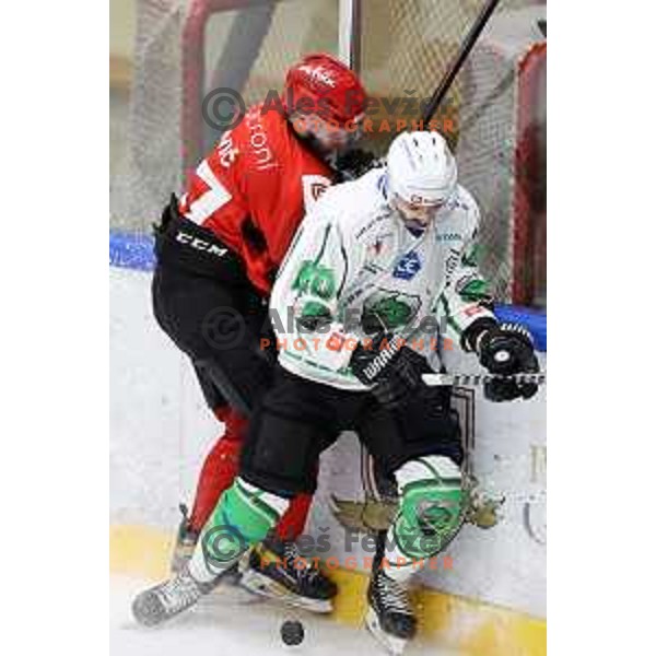 in action at Final of Slovenian Ice-Hockey Cup between SZ Olimpija and SIJ Acroni Jesenice at Bled, Slovenia on September 4, 2021