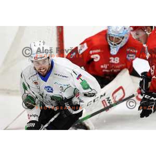 in action at Final of Slovenian Ice-Hockey Cup between SZ Olimpija and SIJ Acroni Jesenice at Bled, Slovenia on September 4, 2021