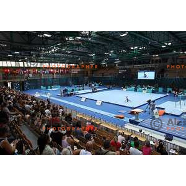 Lucija Hribar (SLO) competes at FIG Art World Challenge Cup in Koper, Slovenia on September 5, 2021