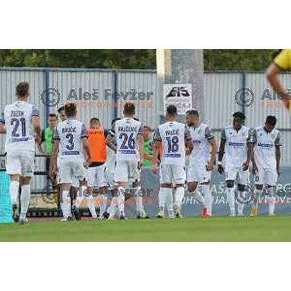 In action during Prva Liga Telemach football match between Kalcer Radomlje and Koper in Domzale, Slovenia on September 12, 2021