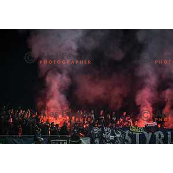 Viole during Prva liga Telemach football match between Aluminij and Maribor in Sportni park Aluminij, Kidricevo, Slovenia on September 12, 2021