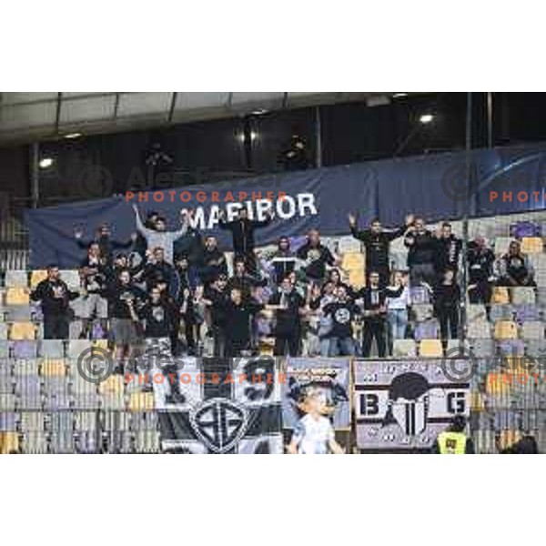 Black Gringos during Prva liga Telemach football match between Maribor and Mura in Ljudski vrt, Maribor, Slovenia on September 19, 2021