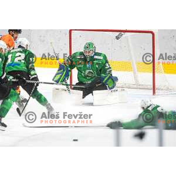 Zan Us in action during IceHL match between SZ Olimpija and Graz 99ers in Tivoli Hall, Ljubljana, Slovenia on September 19, 2021