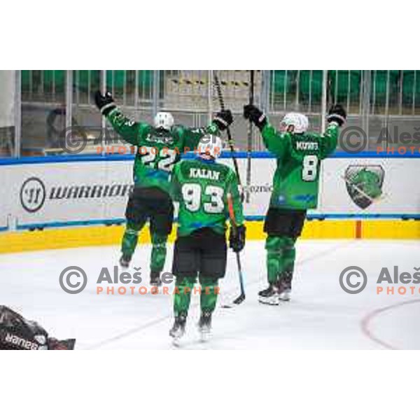 In action during IceHL match between SZ Olimpija and Graz 99ers in Tivoli Hall, Ljubljana, Slovenia on September 19, 2021