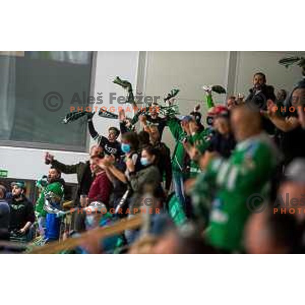 Fans of SZ Olimpija in action during IceHL match between SZ Olimpija and Graz 99ers in Tivoli Hall, Ljubljana, Slovenia on September 19, 2021