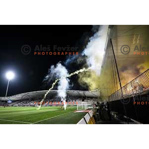 Viole during Prva liga Telemach football match between Maribor and Celje in Ljudski vrt, Maribor, Slovenia on September 23, 2021