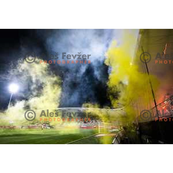 Viole during Prva liga Telemach football match between Maribor and Celje in Ljudski vrt, Maribor, Slovenia on September 23, 2021