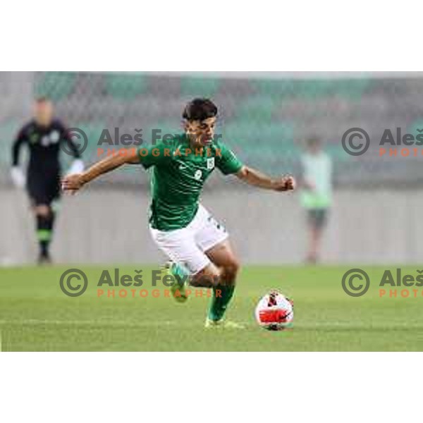 Almedin Ziljkic in action during Prva Liga Telemach football match between Olimpija and Kalcer Radomlje in Ljubljana, Slovenia on September 25, 2021