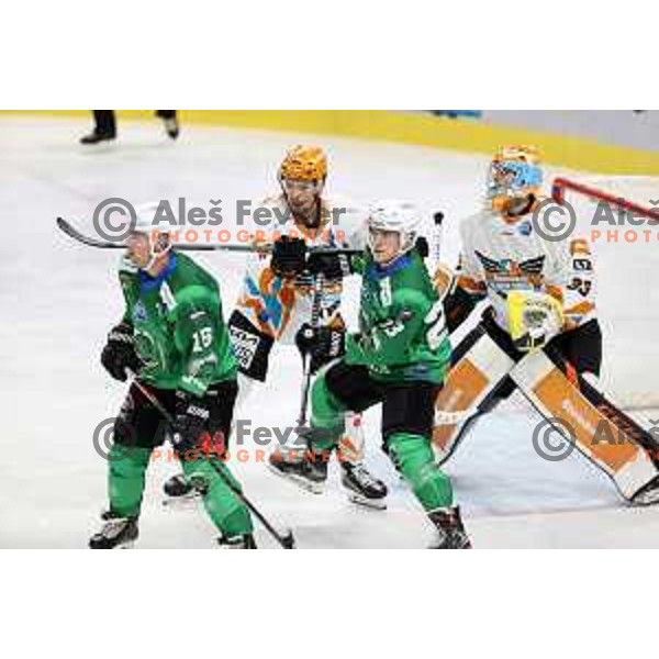 Ales Music and Jaka Sodja in action during IceHL 2021-2022 regular season ice-hockey match between SZ Olimpija and Black Wings Linz in Tivoli Hall, Ljubljana, Slovenia on September 26, 2021