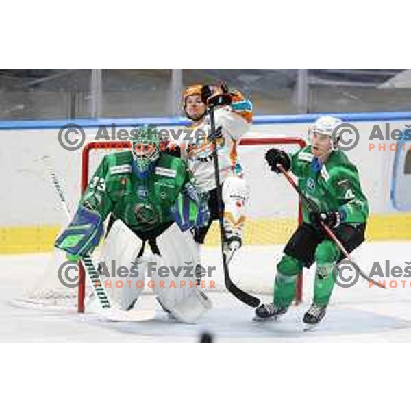 Zan Us and Joona Erving in action during IceHL 2021-2022 regular season ice-hockey match between SZ Olimpija and Black Wings Linz in Tivoli Hall, Ljubljana, Slovenia on September 26, 2021
