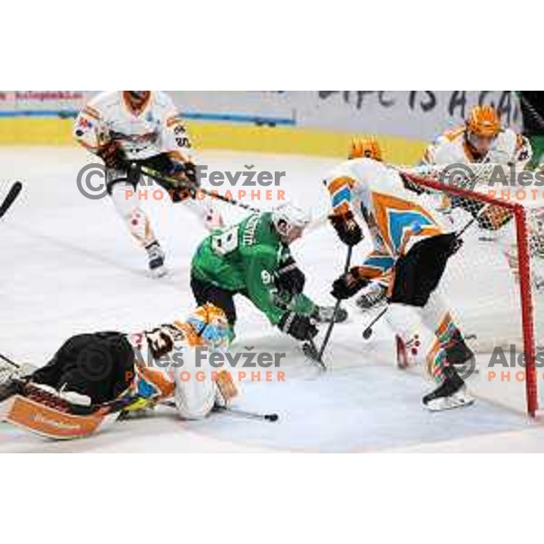 Blaz Tomazevic in action during IceHL 2021-2022 regular season ice-hockey match between SZ Olimpija and Black Wings Linz in Tivoli Hall, Ljubljana, Slovenia on September 26, 2021