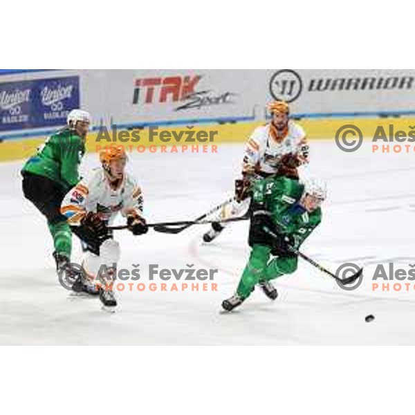 Action during IceHL 2021-2022 regular season ice-hockey match between SZ Olimpija and Black Wings Linz in Tivoli Hall, Ljubljana, Slovenia on September 26, 2021