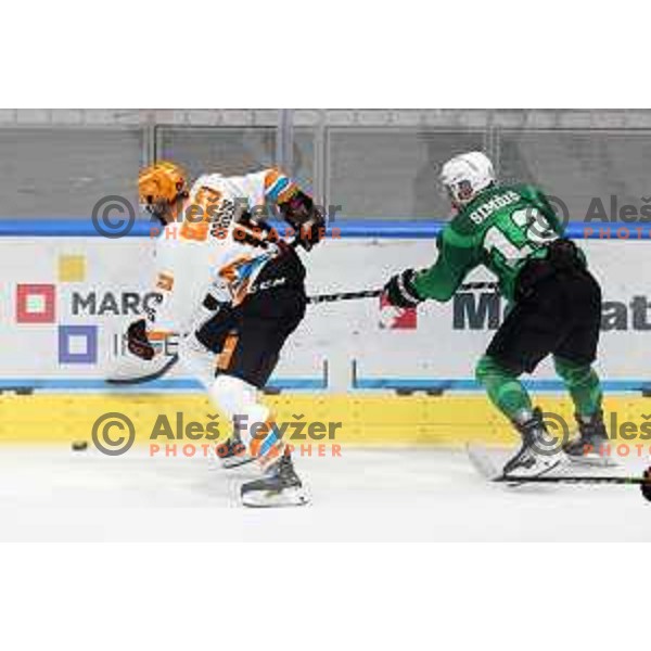 Blaz Gregorc and Nik Simsic in action during IceHL 2021-2022 regular season ice-hockey match between SZ Olimpija and Black Wings Linz in Tivoli Hall, Ljubljana, Slovenia on September 26, 2021