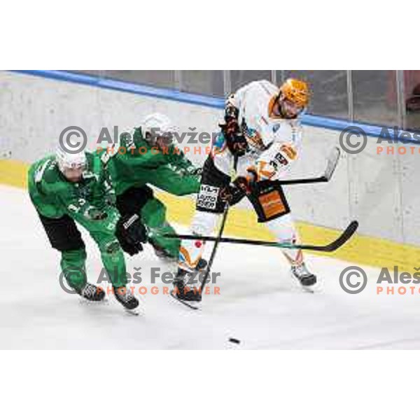 Blaz Gregorc in action during IceHL 2021-2022 regular season ice-hockey match between SZ Olimpija and Black Wings Linz in Tivoli Hall, Ljubljana, Slovenia on September 26, 2021