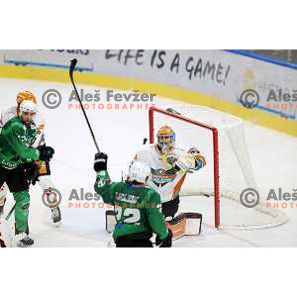 Guillaume Leclerc in action during IceHL 2021-2022 regular season ice-hockey match between SZ Olimpija and Black Wings Linz in Tivoli Hall, Ljubljana, Slovenia on September 26, 2021