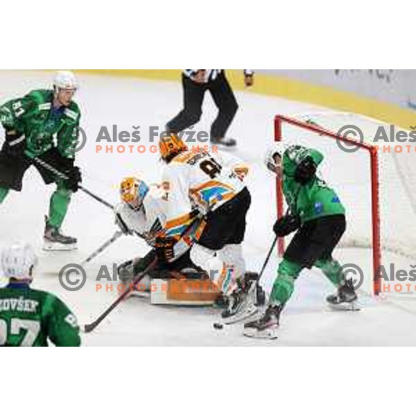 Action during IceHL 2021-2022 regular season ice-hockey match between SZ Olimpija and Black Wings Linz in Tivoli Hall, Ljubljana, Slovenia on September 26, 2021