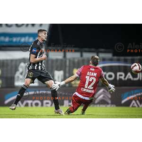 in action during Prva liga Telemach football match between Mura and Koper in Fazanerija, Murska Sobota, Slovenia on September 26, 2021