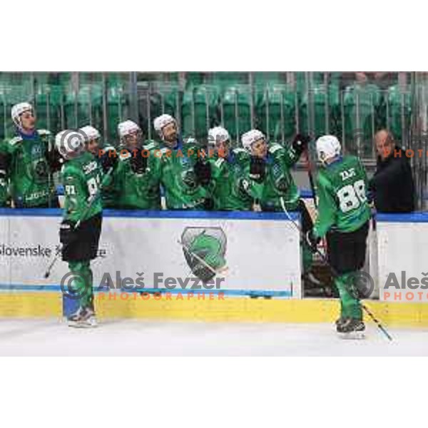 Action during IceHL 2021-2022 regular season ice-hockey match between SZ Olimpija and Black Wings Linz in Tivoli Hall, Ljubljana, Slovenia on September 26, 2021